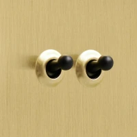 DR_030.002-Mia Urbo Home-wlacznik-wylacznik-lacznik-dzwigniowy-zloty-szczotkowany-brushed-brass-czarny- vypínače- zásuvky- hämardam (1).webp