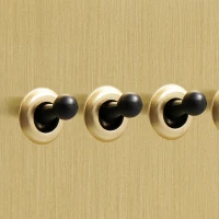 DR_030.004-Mia Urbo Home-wlacznik-wylacznik-lacznik-dzwigniowy-zloty-szczotkowany-brushed-brass-czarny- vypínače- zásuvky- hämardam (1).webp