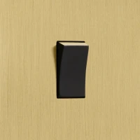 DR_130.001-Mia Urbo Home-wlacznik-wylacznik-lacznik-klawiszowy-zloty-szczotkowany-czarny-Home-automation-smart (1).webp