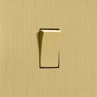 DR_130.001-Mia Urbo Home-wlacznik-wylacznik-lacznik-klawiszowy- zloty-szczotkowany-zloty-šviesos-jungikliai-lizdai (1).webp
