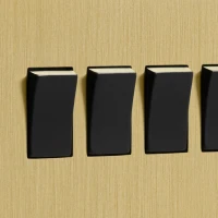 DR_130.004-Mia Urbo Home-wlacznik-wylacznik-lacznik-klawiszowy-zloty-szczotkowany-czarny-Home-automation-smart (1).webp